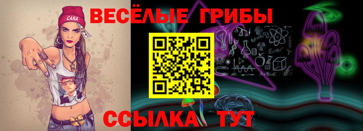 Новокубанск  Галлюциногенные грибы ЛСД  Псилоцибиновые грибы Psilocybine cubensis  Вход с VPN 